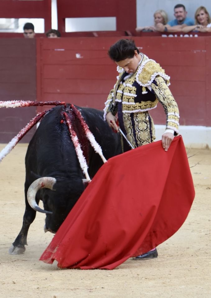 Las imágenes de la vuelta de los toros a la plaza de Villena