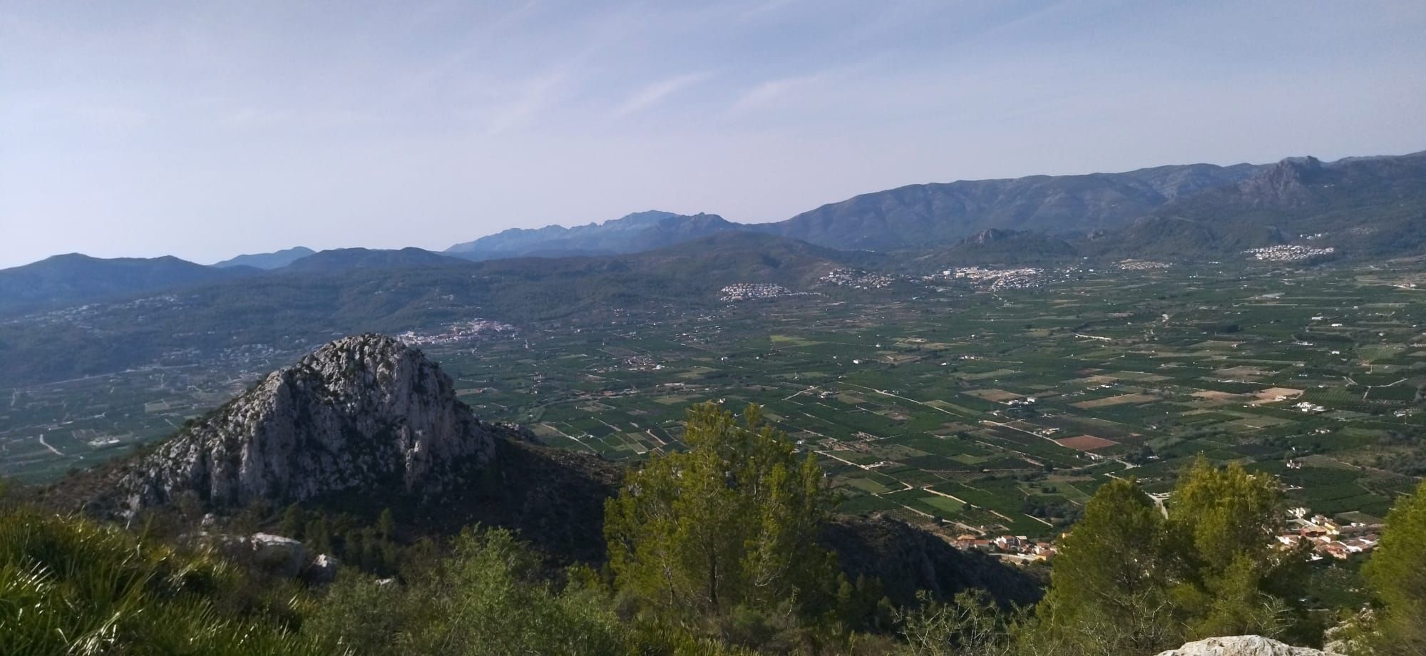 Arroz al norte y naranjos al sur: el paisaje agrícola desde la cima de Segària (imágenes)