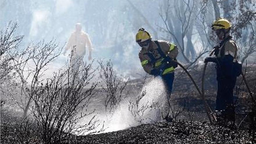 Protecció Civil ha activat l&#039;alerta per evitar que es produeixin focs com el de la setmana passada a Maçanet.