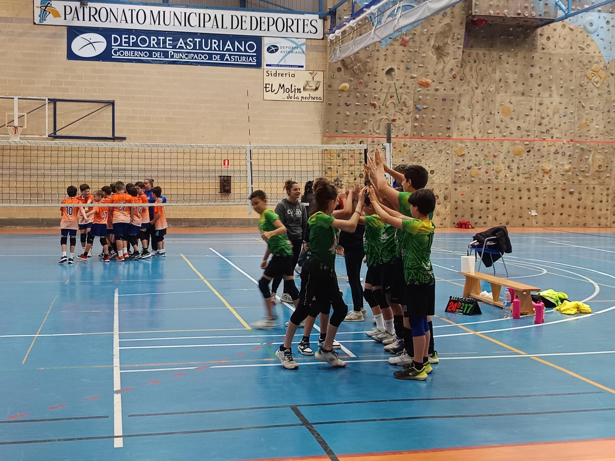 Nuevo éxito del voleibol cangués