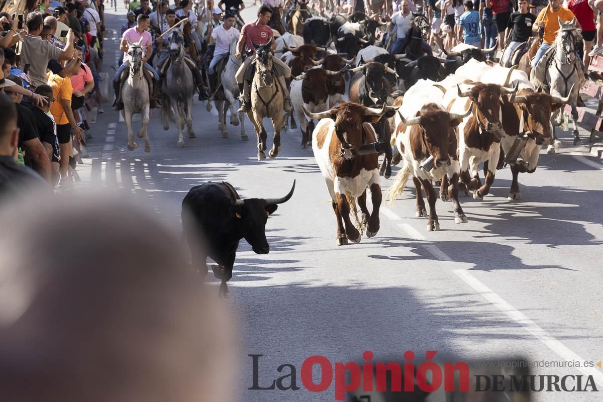 Séptimo encierro de las Fiestas de Moratalla