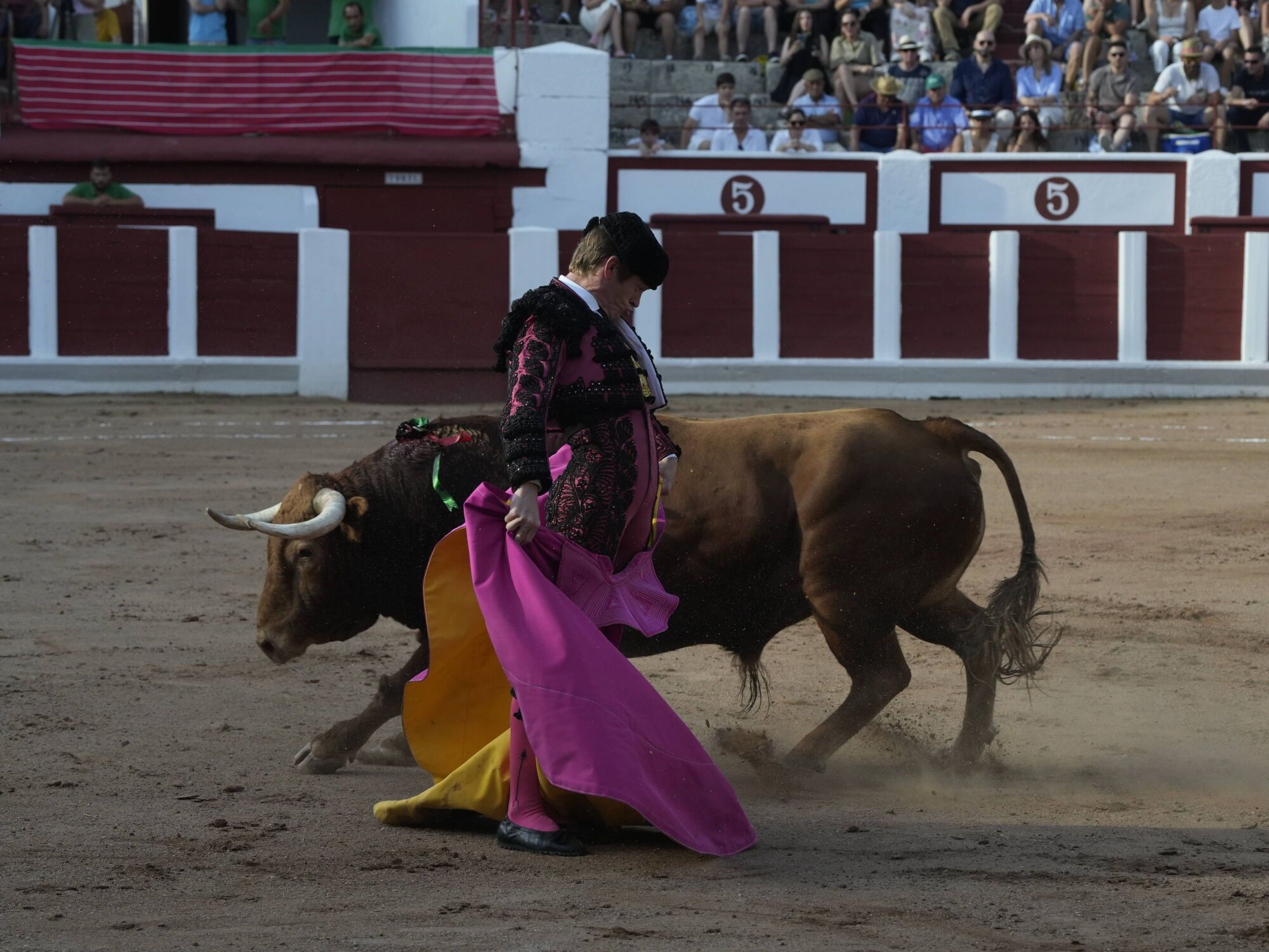 Las mejores imágenes de la feria taurina de San Pedro en Zamora.