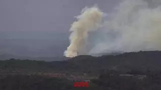 Bombers trabaja en un incendio forestal en La Pobla de Massaluca