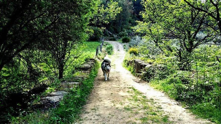 Un paraíso verde que no hay que perderse