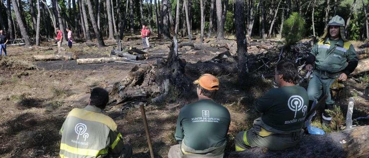 El incendio de la isla de Cortegada, en 2015, puso en jaque a todo Vilagarcía. // Noé Parga