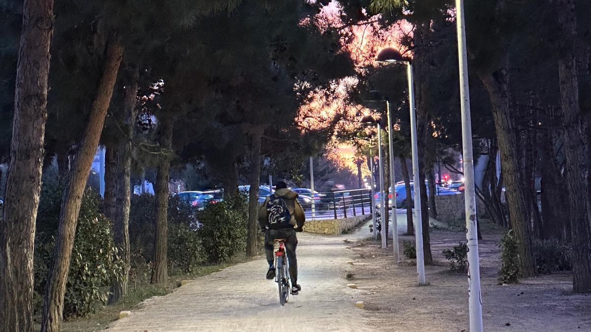 Carril bici de la Pinadeta en Alboraia.