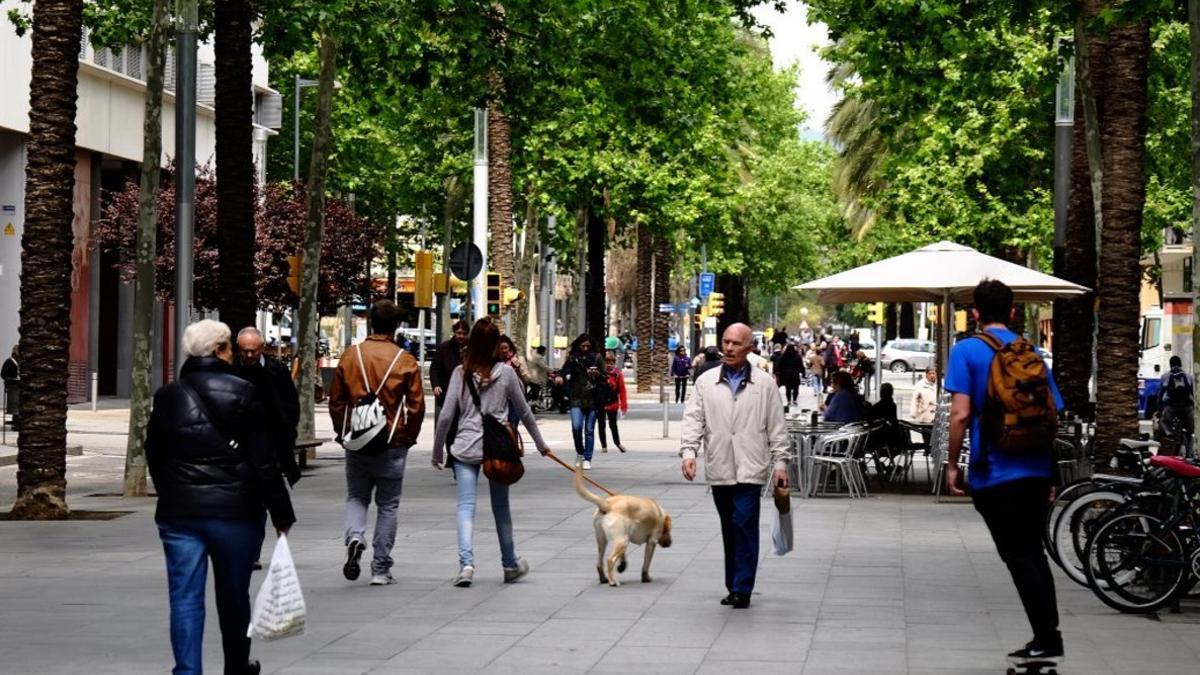 Cumplir los niveles de contaminación de la OMS evitaría al menos 250 muertos cada año en Barcelona, alerta el Ayuntamiento.