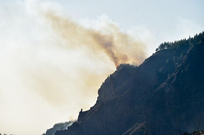 10-08-2019 ARTENARA. Incendio en la cumbre de Gran Canaria  | 10/08/2019 | Fotógrafo: Andrés Cruz