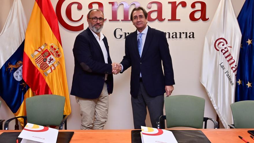 Cámara de Comercio de Gran Canaria | Noticias de Cámara de Comercio de Gran  Canaria - La Provincia