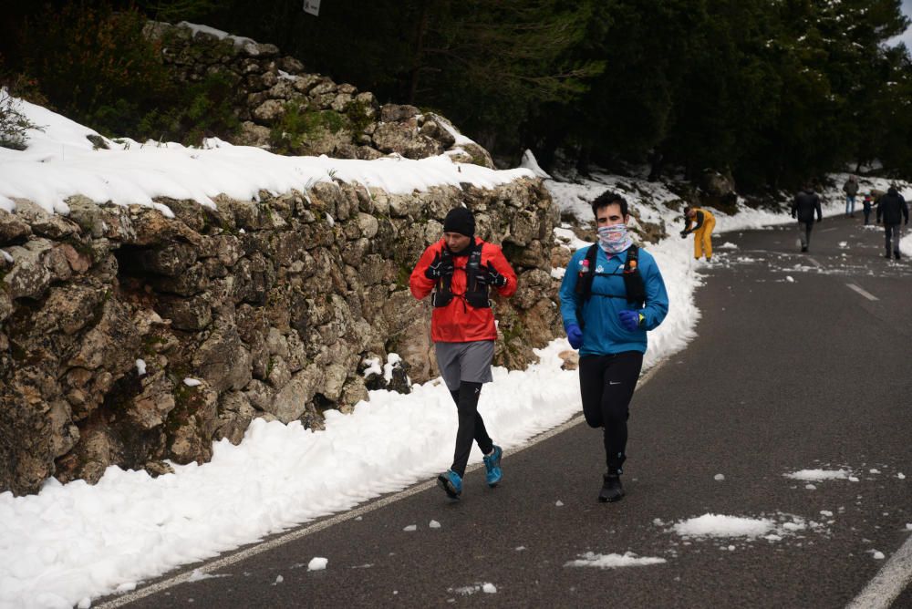 Los mallorquines salen a jugar con la nieve