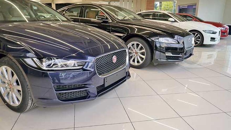 New Jaguar Mallorca estrena sus nuevas instalaciones en son Valentí