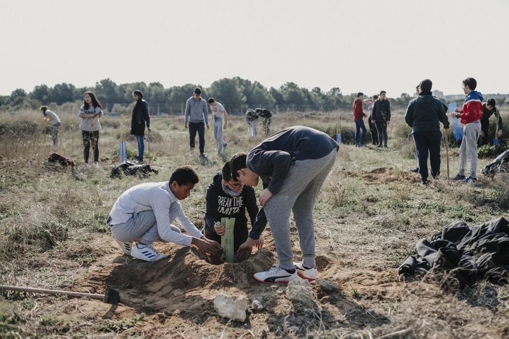 Plantación de especies autóctonas de alumnos del IES Mare Nostrum el día del arbol en el parque natural de las lagunas