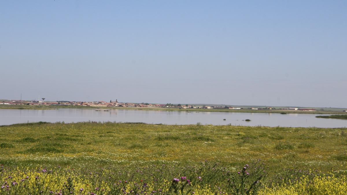 Lagunas de Villafáfila con el pueblo al fondo