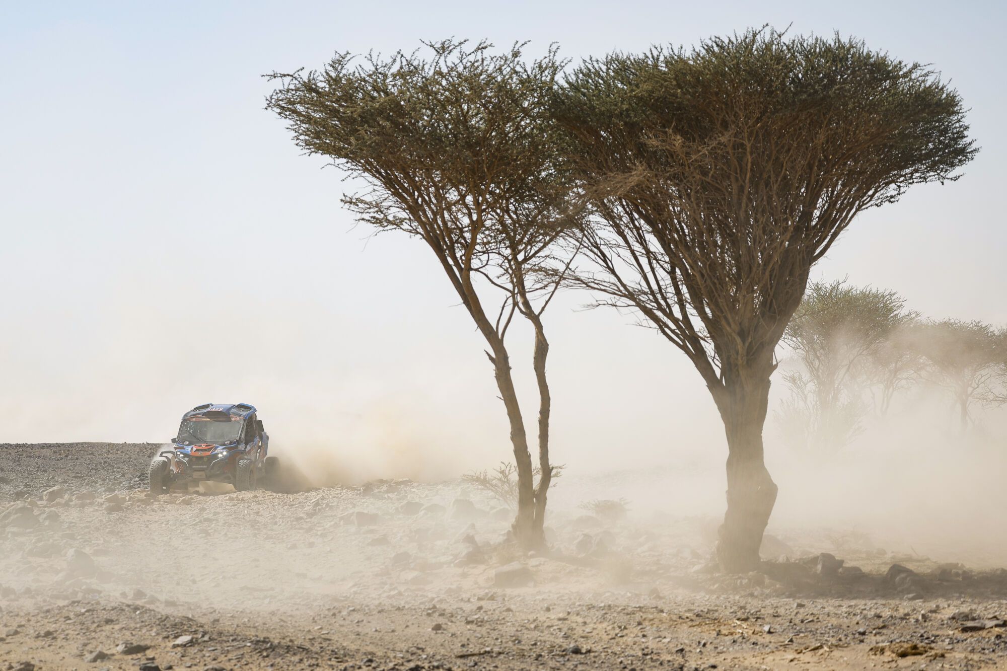 Etapa 9 del Rally Dakar 2026, en imágenes