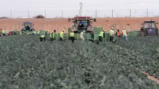 UPTA reivindica el aporte de los inmigrantes a la economía