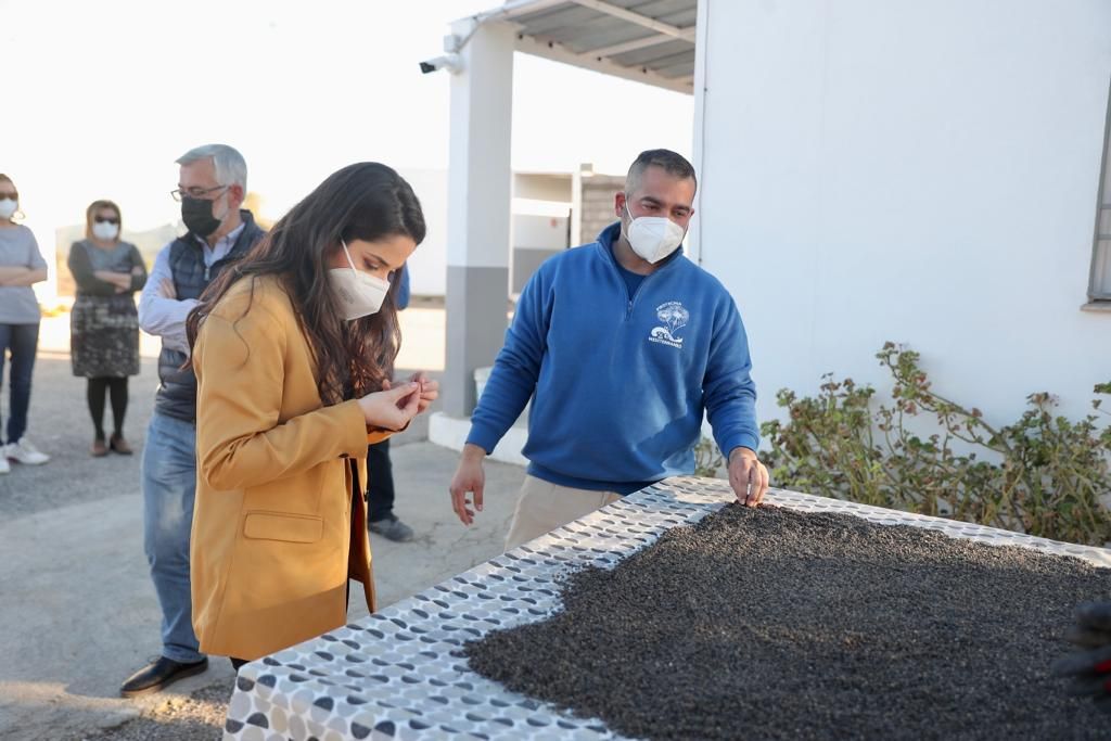 La "despertà" se disparará con cajas de coleccionista