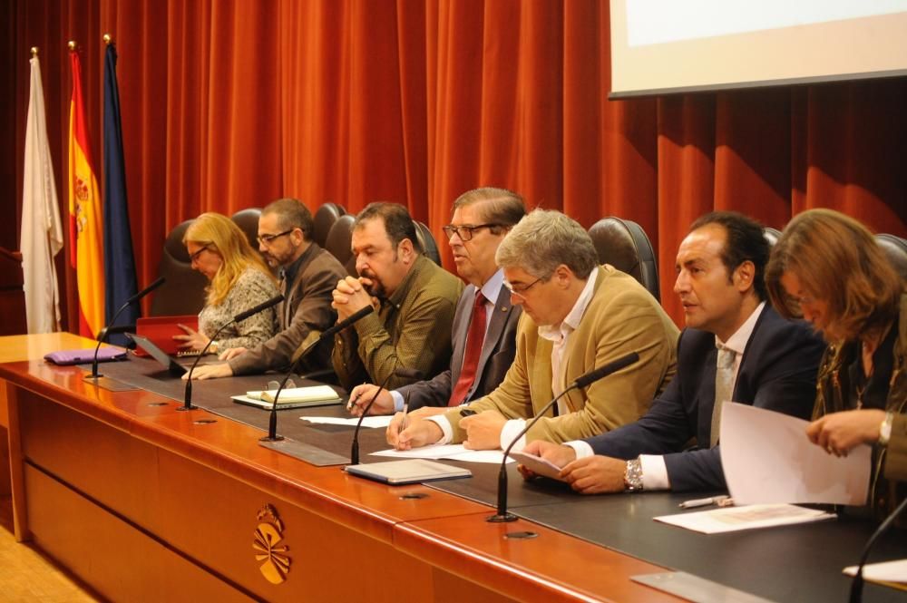 El Claustro avala la propuesta de reducir departamentos de la Universidade