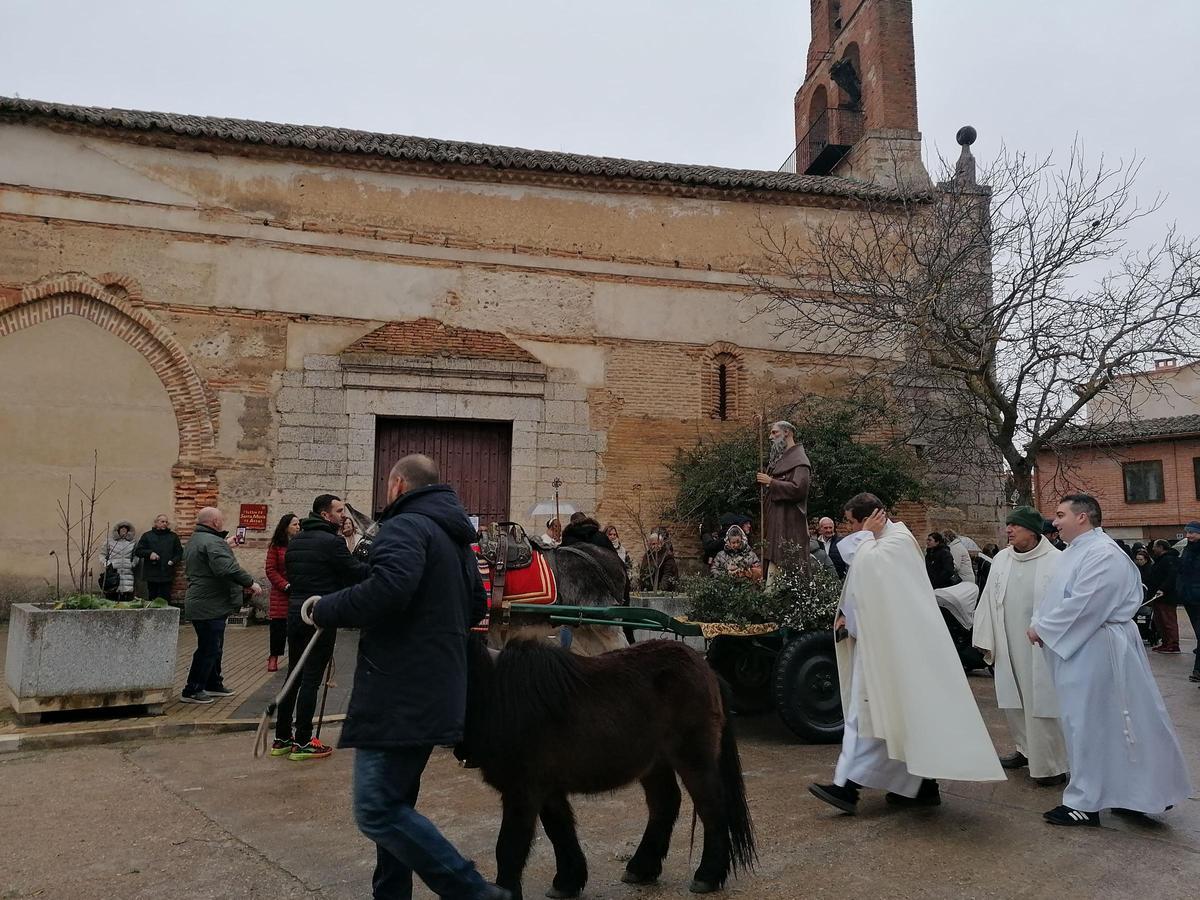 GALERÍA | San Antón procesiona por primera vez en Toro