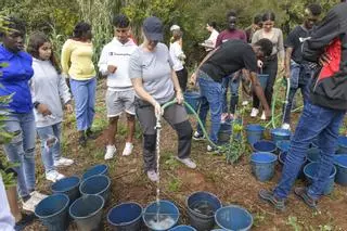 Estudiantes del IES La Isleta y migrantes riegan árboles en el proyecto 'Sentir La Isleta'
