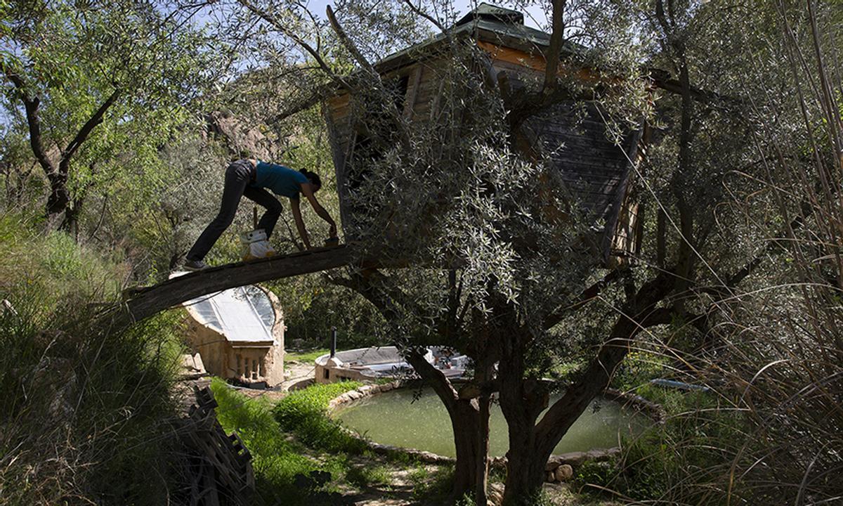 Casas en los árboles en la Comunidad de El Valle de los Sentidos