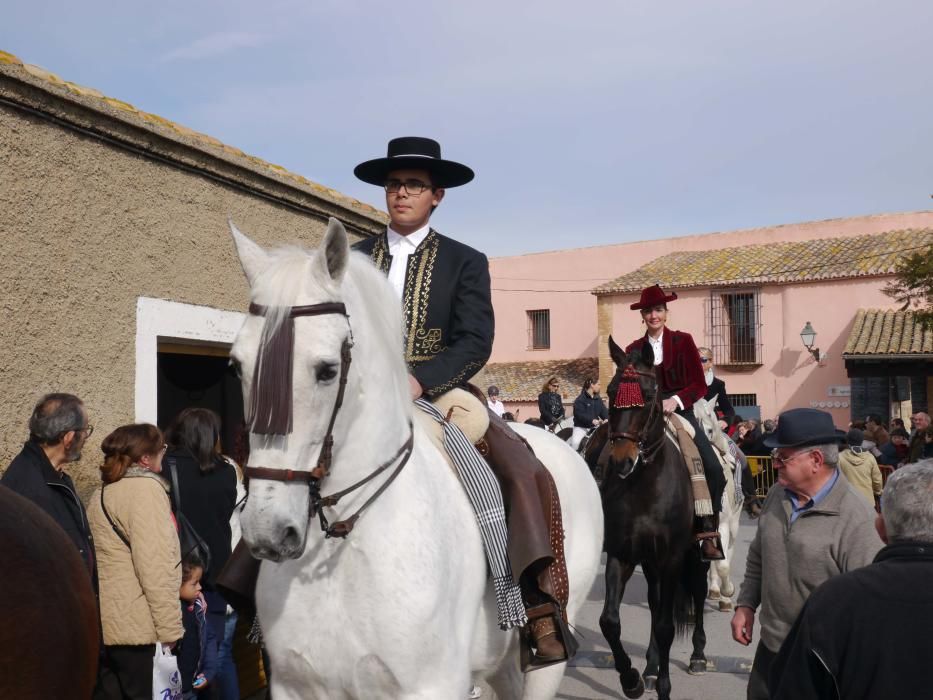 Fiesta de Sant Antoni Abad de Vera