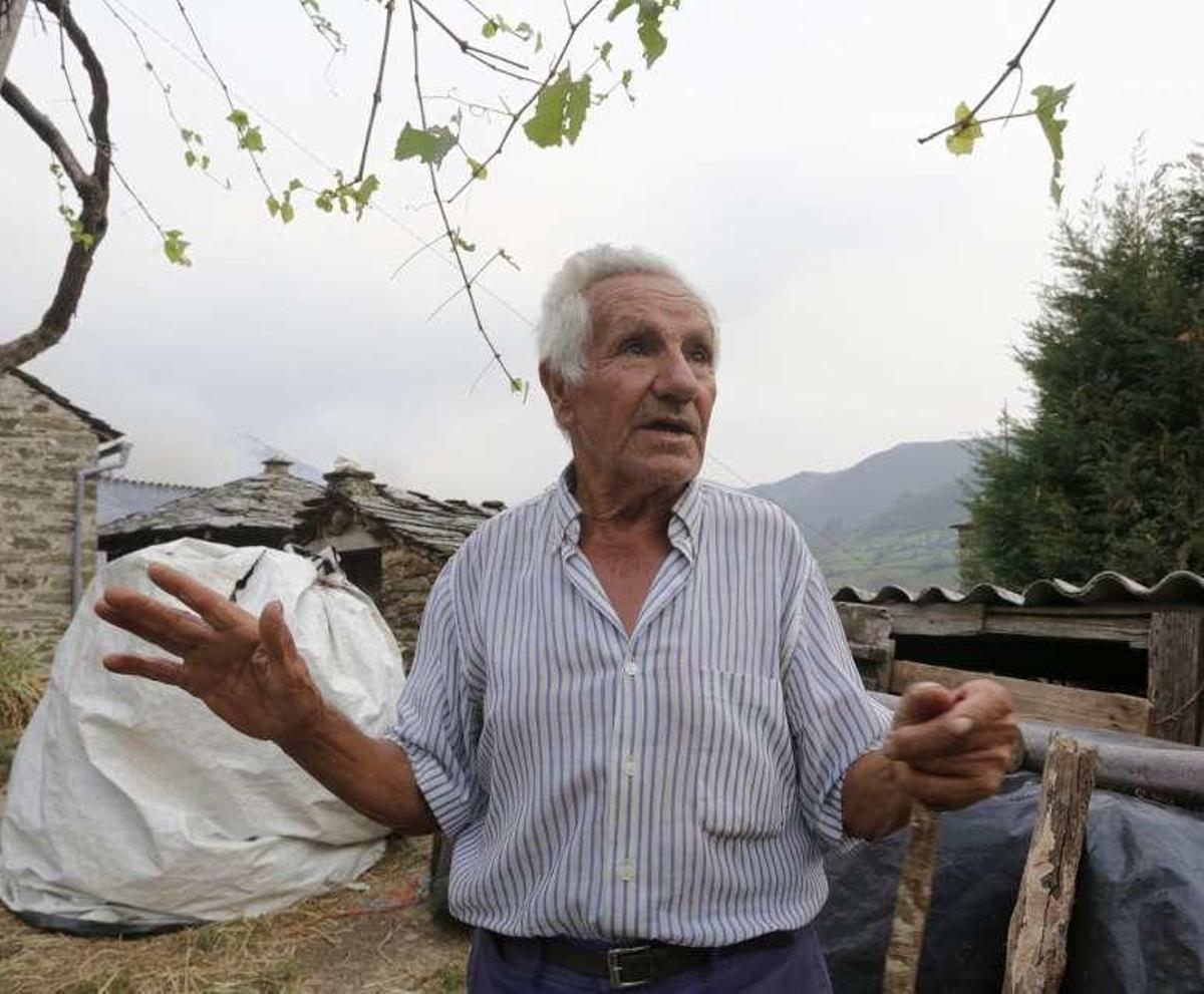 "No querían hacer pasto, sólo el mal"