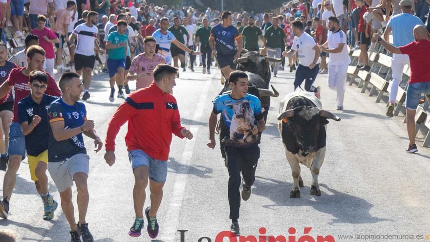 Sexto encierro de la Feria Taurina del Arroz en Calasparra