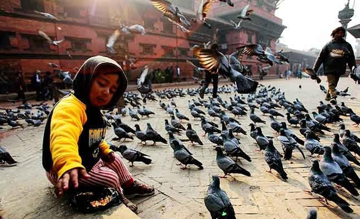 Un nen alimenta els coloms a la plaça Patan Durbar, a Kàtmandu (Nepal).