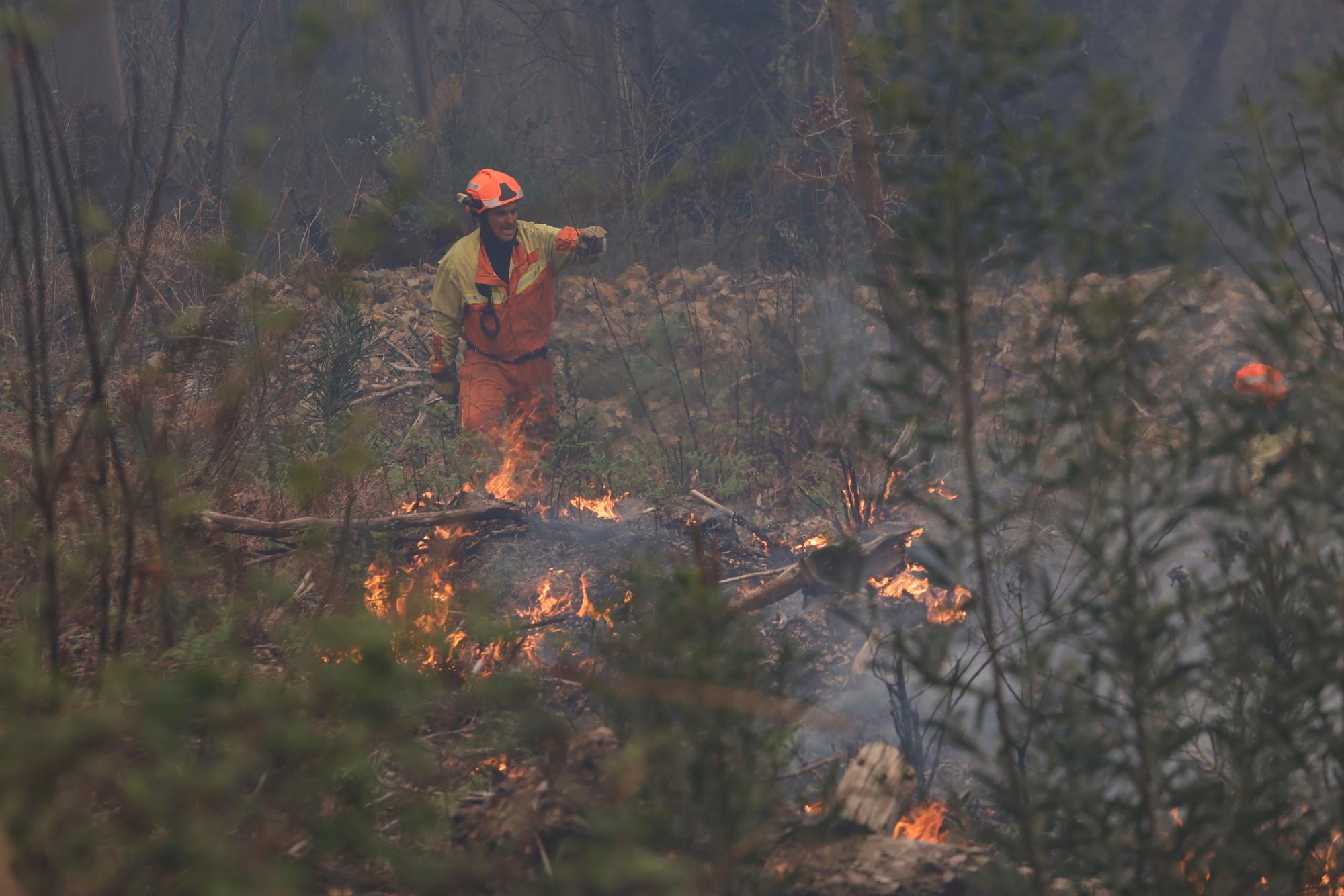 Dura lucha contra los incendios de Tineo y Valdés