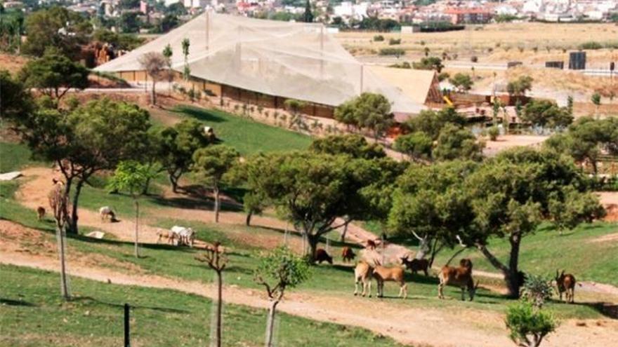 Los menores de 12 años podrán entrar gratis a Terra Natura este fin de  semana - La Opinión de Murcia