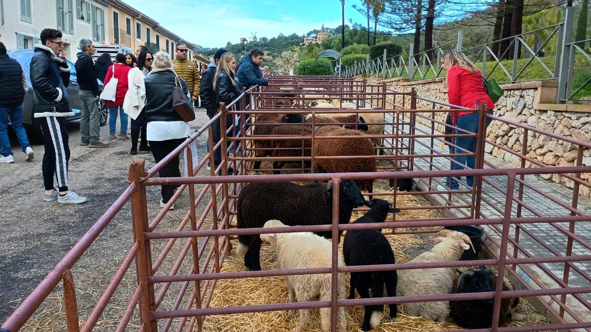 FOTOS | La Feria de Andratx, en imágenes FOTOS | La Feria de Andratx, en imágenes