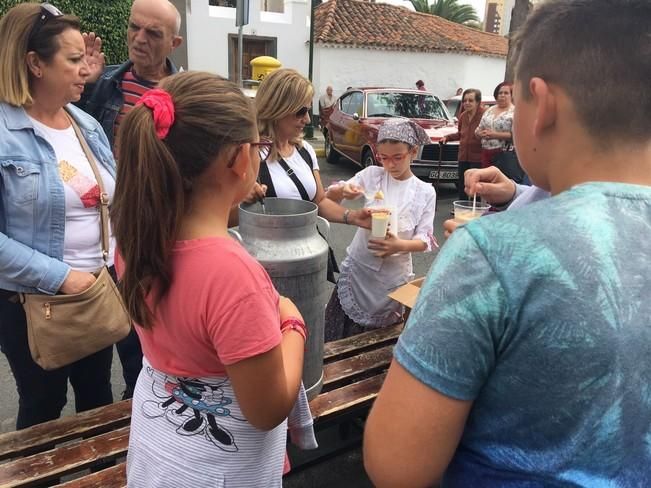 Fiestas de la Concepción y la Caña Dulce 2016