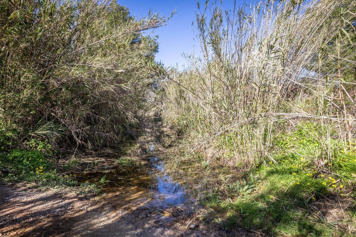 Imágenes de sa Fontassa y el río de Santa Eulària Imágenes de sa Fontassa y el río de Santa Eulària