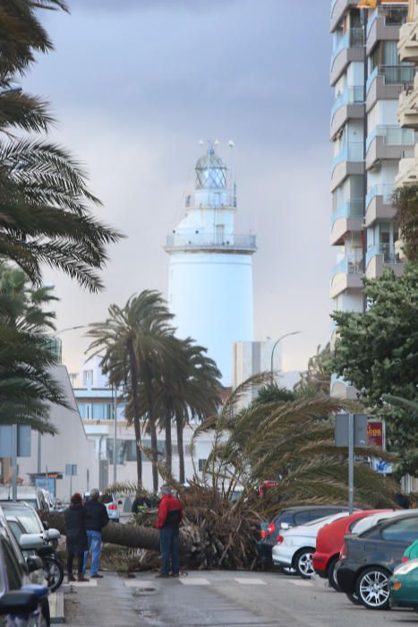 Temporal de viento y lluvia en Málaga