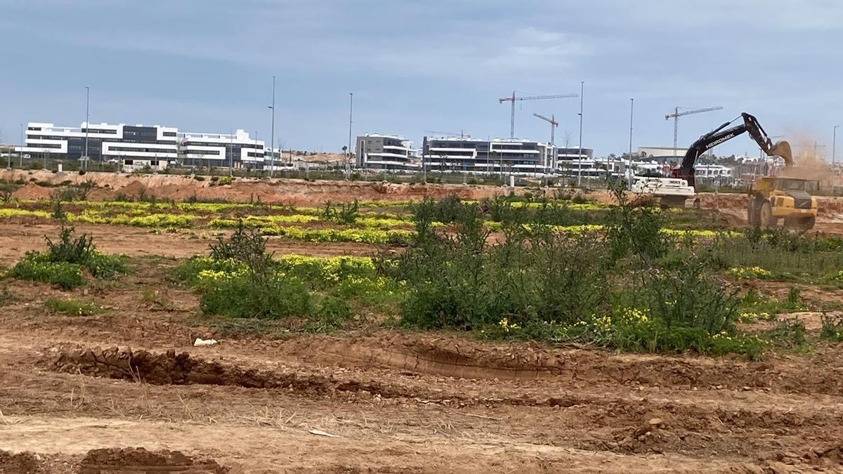 Construcción de viviendas y zonas comerciales en La Hoya de Torrevieja