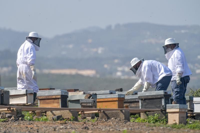 Escuela de apicultura