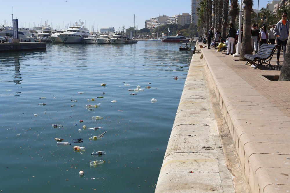 Alicante amanece disfrazada de basura
