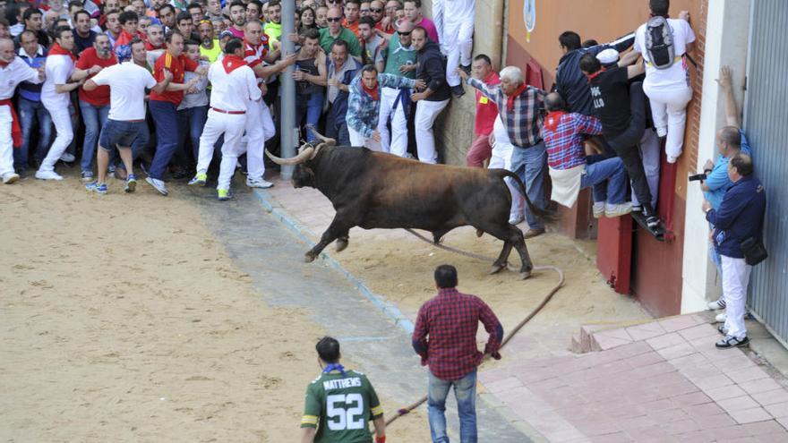 La impetuosa salida de "Lechugazo"