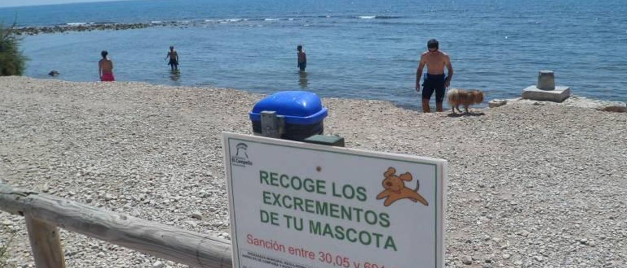 Vecinos de la playa canina denuncian la presencia de microorganismos «peligrosos para la salud»