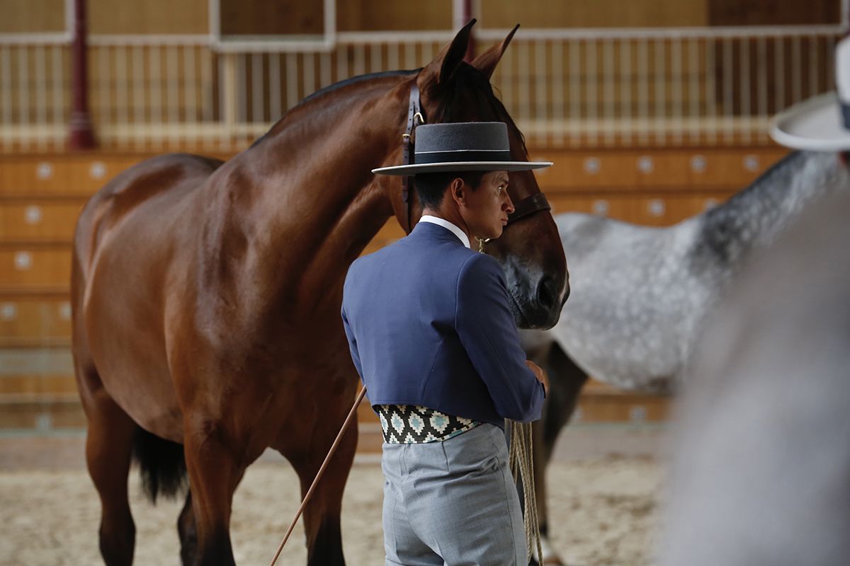 Primera jornada del concurso morfológico en Cabalcor 2021