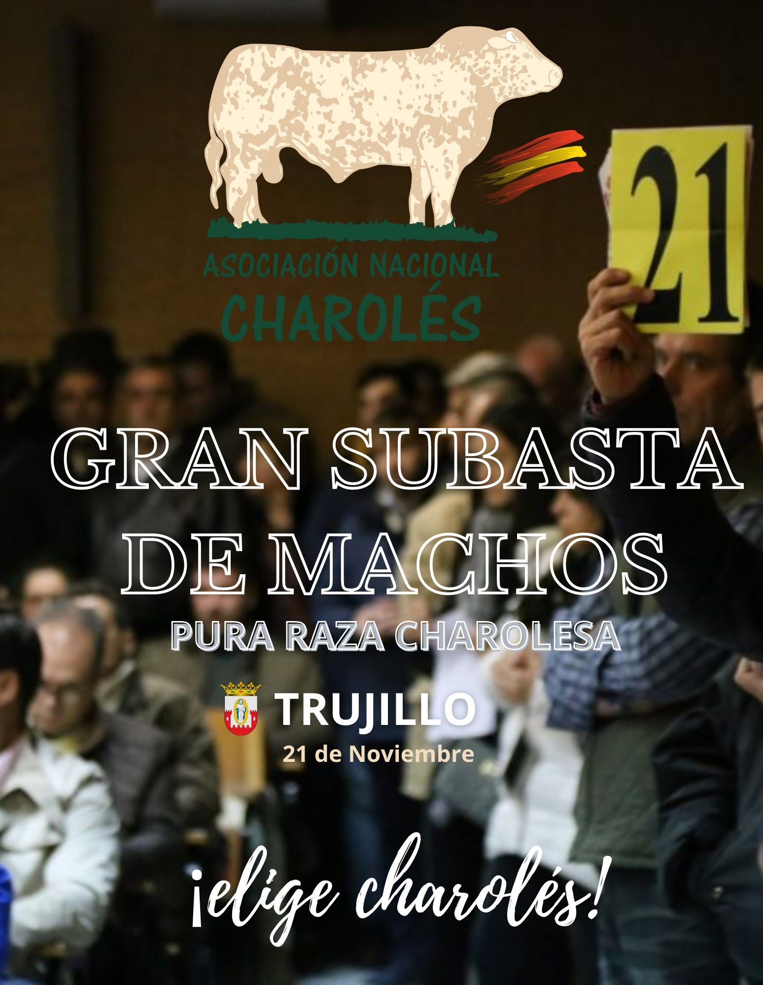 Cartel de la subasta de ejemplares de la Asociación Nacional de Charolés.