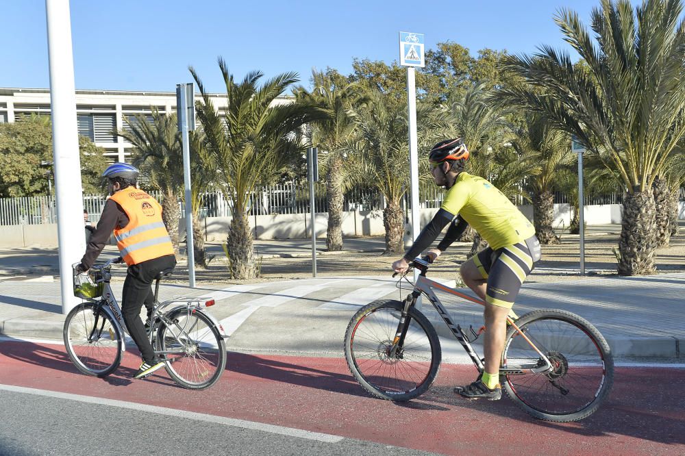 El carril bici en la avenida de la universidad