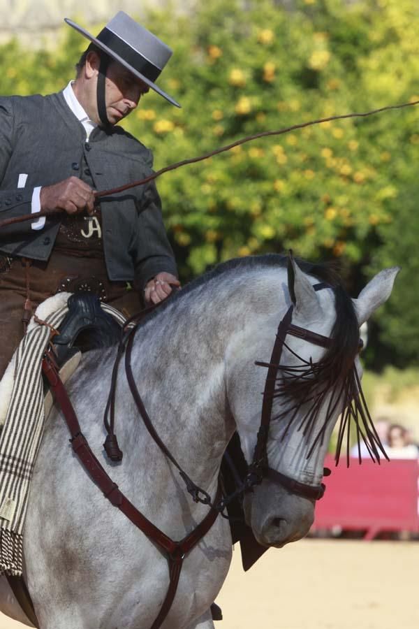 Caballos en el Alcázar