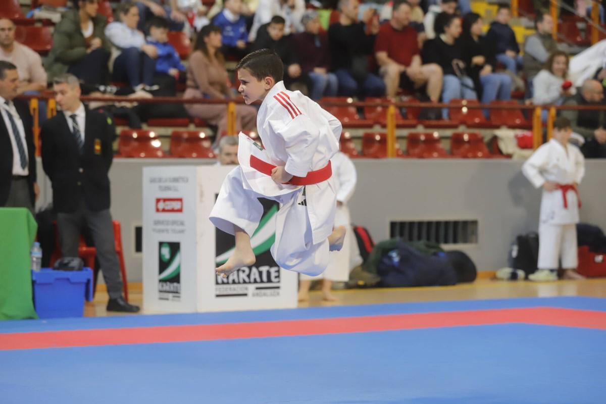 El Campeonato de Andalucía infantil de karate, en imágenes
