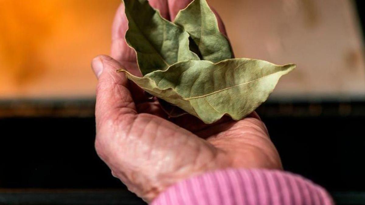 Una hoja de laurel dentro del horno la razón por la que todo el mundo sigue este truco