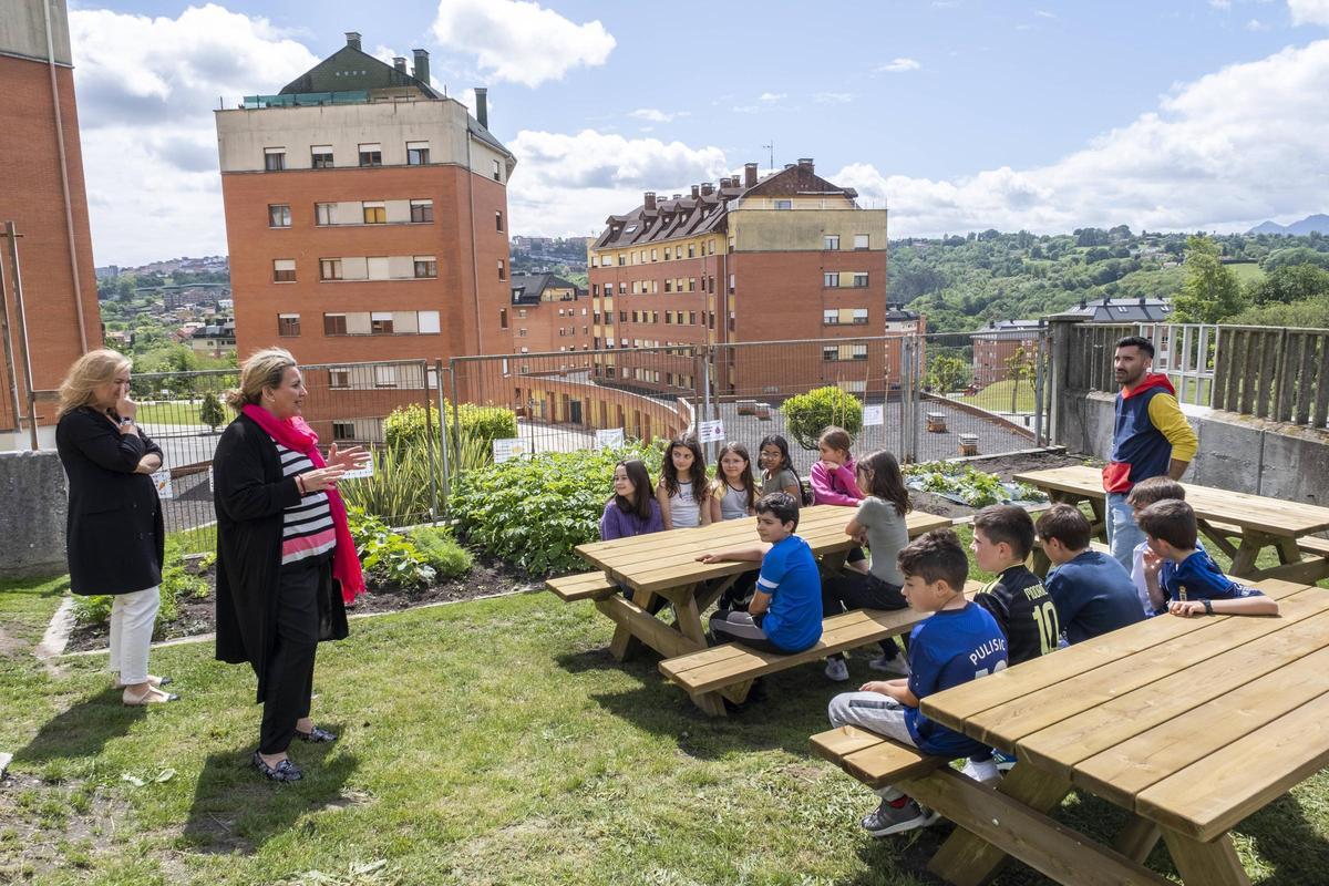 En imágenes | Las Campas, el colegio de Oviedo que ya come de lo que cultiva En imágenes | Las Campas, el colegio de Oviedo que ya come de lo que cultiva