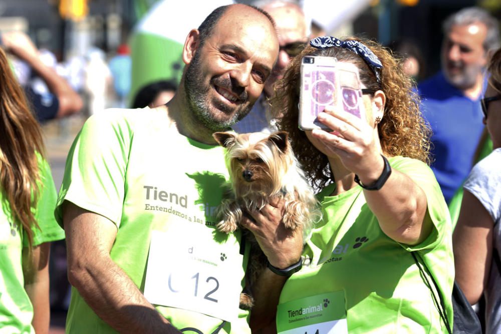 La carrera, con salida y llegada en la plaza de la Marina, ha recorrido la calle Larios, Alcazabilla y calle Granada ante la sorpresa e interés de vecinos y turistas.