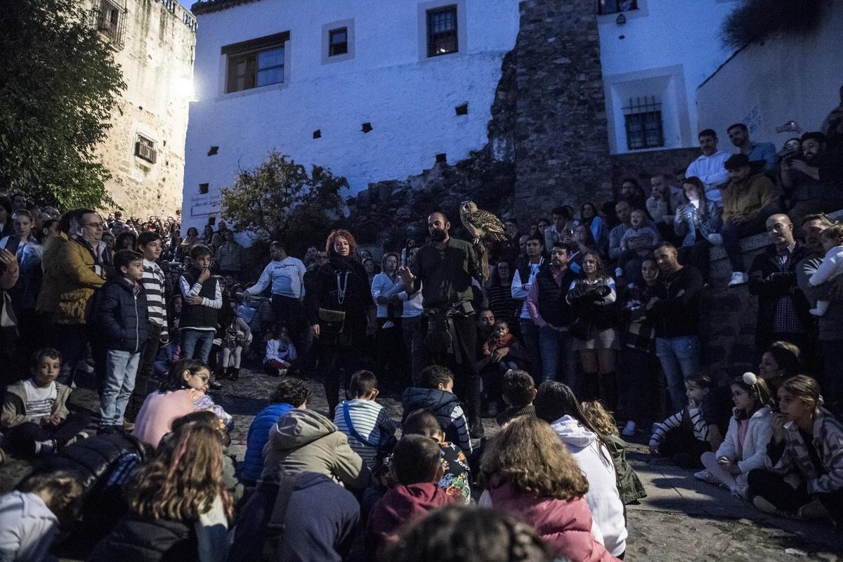 GALERÍA | Así es el Mercado Medieval de Cáceres con el regreso de la cetrería GALERÍA | Así es el Mercado Medieval de Cáceres con el regreso de la cetrería