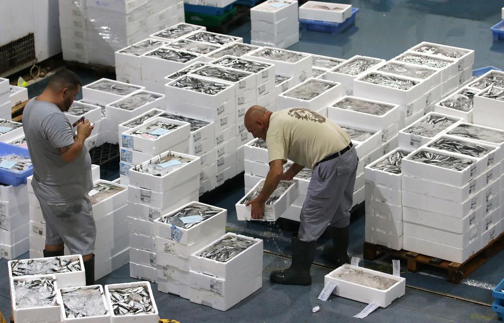 Así es un día de trabajo en la pescadería de Mercamálaga