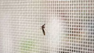 Cómo hacer una mosquitera para ventana abatible y no morir en el intento
